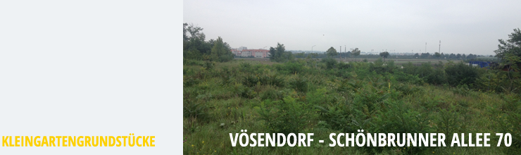 Titel_Voesendorf_KGG