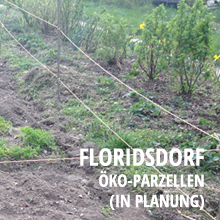 standort-floridsdorf-oeko-parzellen