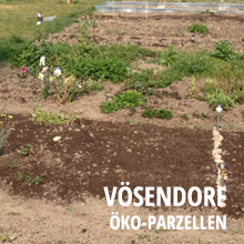 standort-voesendorf-oeko-parzellen